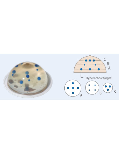 Set of two breast phantoms 1 transparent and 1 opaque for training in biopsy under echography Set of two breast phantoms 1 transparent and 1 opaque for training in biopsy under echography