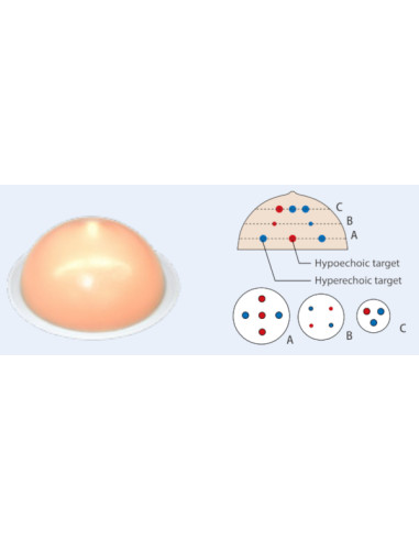 Jeu de deux fantômes de sein 1 transparent et 1 opaque pour simulatio de biopsie sous échographie Jeu de deux fantômes de sein 1 transparent et 1 opaque pour simulatio de biopsie sous échographie