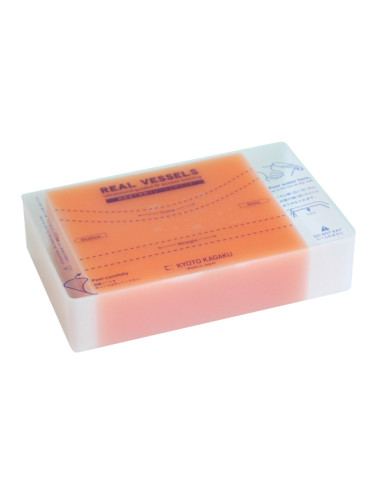 Introductory training block for vascular access REAL VESSEL under echography Introductory training block for vascular access REAL VESSEL under echography