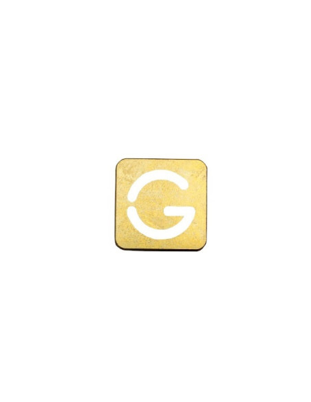 Set of brass letters D and G size 20 x 20 mm Price per letter pair