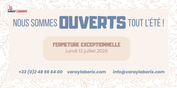 été 2026 !